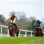 bet on punchestown